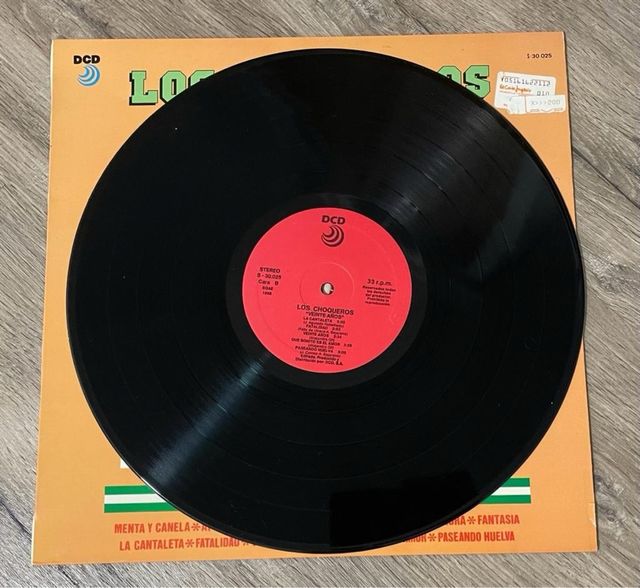 Disco Vinilo Choqueros
