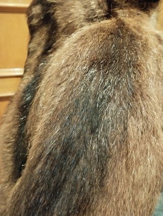 Abrigo de pelo natural