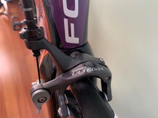 FOCUS IZALCO
