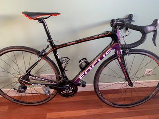 FOCUS IZALCO