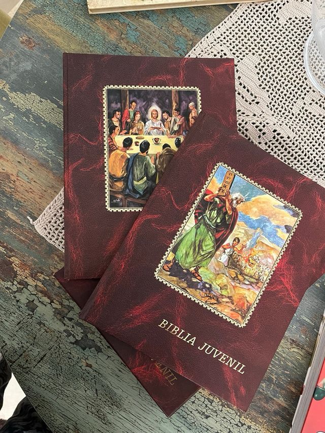Biblia juvenil