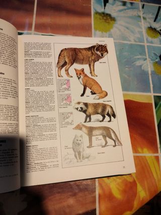 Libro Fascinante Naturaleza