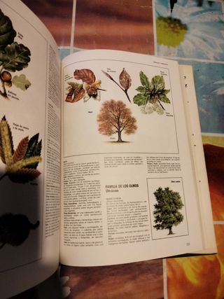 Libro Fascinante Naturaleza