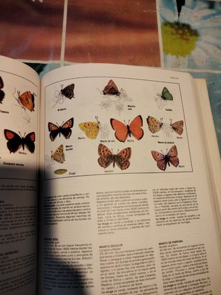 Libro Fascinante Naturaleza