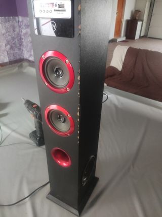 Torre sonido 30w reales