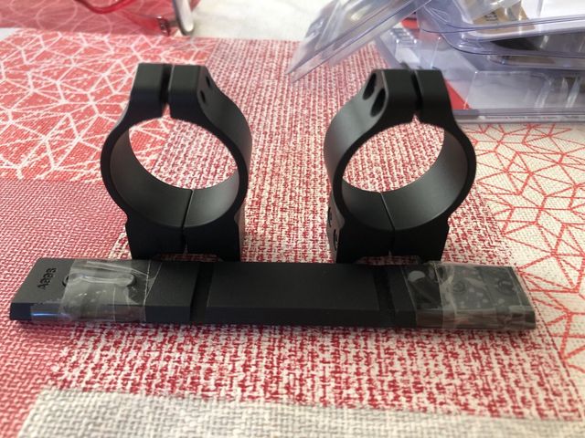 monturas fijas Warner