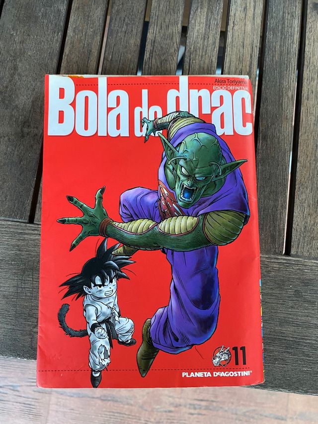 Manga Bola de Drac
