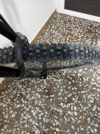 Bici giant Reig 
