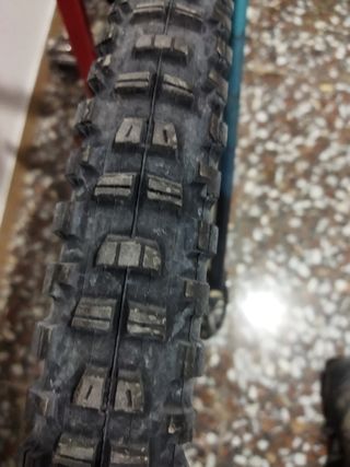 Bici giant Reig 