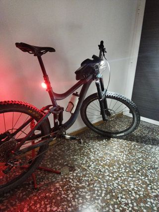 Bici giant Reig 
