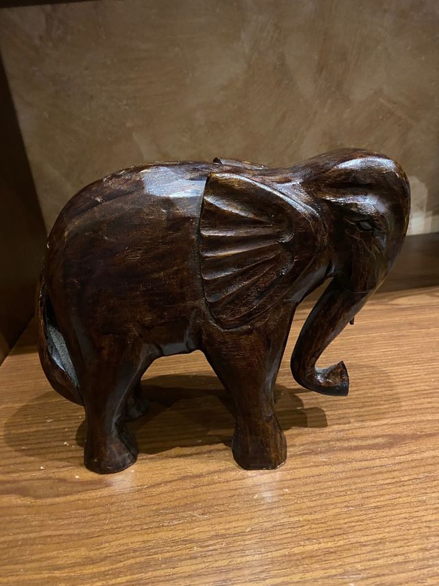 Elefante unicolmillo