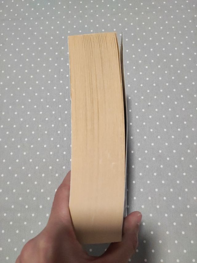 Kate Morton. The distant hours