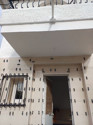 Albañil con experiencia