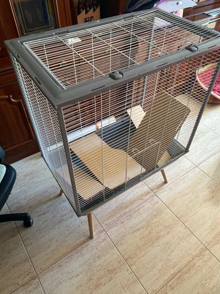 Pack de 3 Jaulas para Hamster.