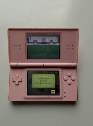 Nintendogs Chihuahua & Friends per nintendo DS