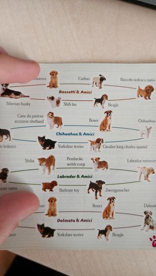 Nintendogs Chihuahua & Friends per nintendo DS