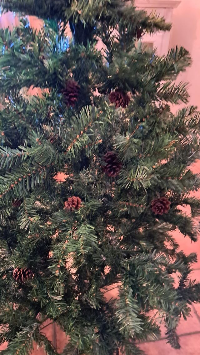 Albero di Natale Abete Dakota cm 180