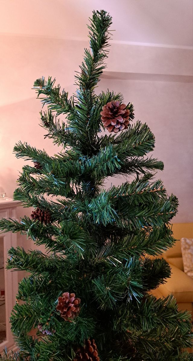 Albero di Natale Abete Dakota cm 180