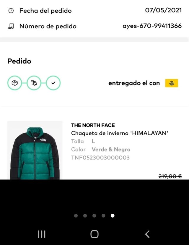 Chaqueta north face himalayan