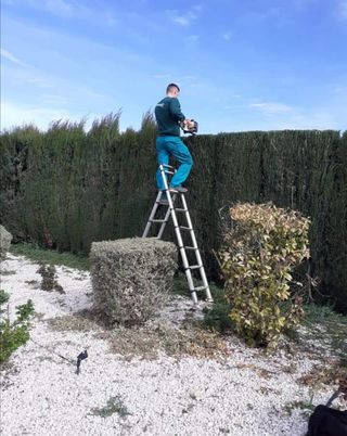 Jardinero solución en jardinería