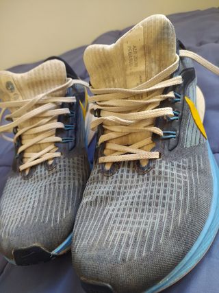 Nike Air Zoom Pegasus 39 Premium