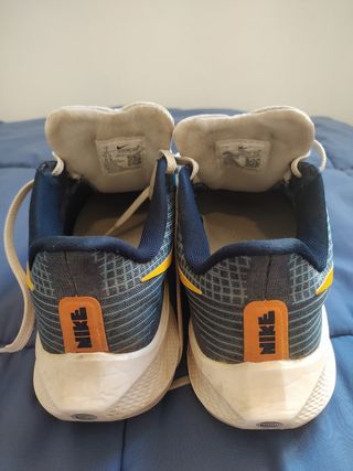 Nike Air Zoom Pegasus 39 Premium