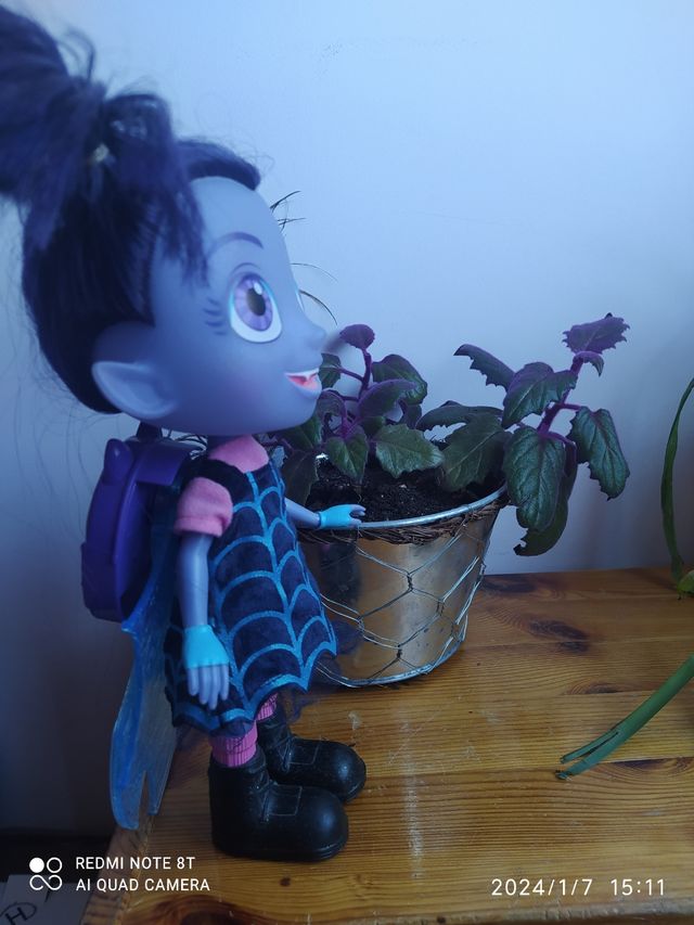 vampirina