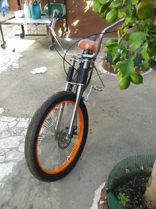 Bicicleta original unica