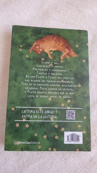 Libro: Un beso bajo la lluvia