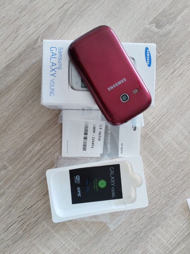 Samsung Galaxy Young GTS6310
