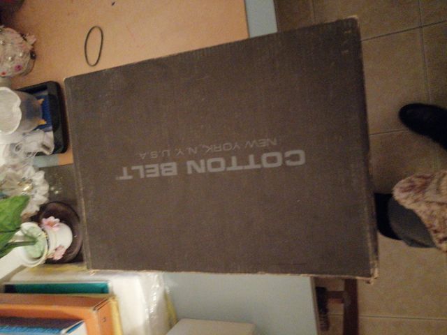 Scarpe Sportive. Cotton Belt. N°41. Buono stato. 