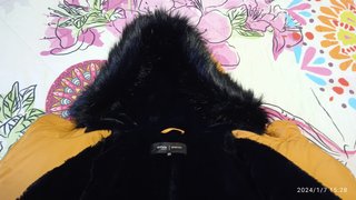 PLUMAS FORMULA JOVEN