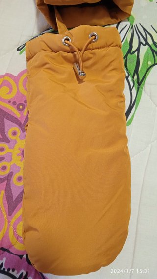 PLUMAS FORMULA JOVEN