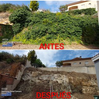 OFERTAS JARDINERO Y PINTOR MUY ECONÓMICO 