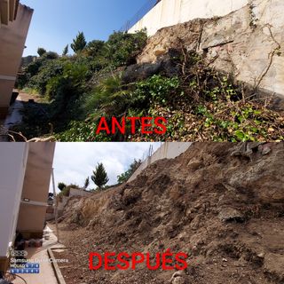 OFERTAS JARDINERO Y PINTOR MUY ECONÓMICO 