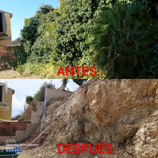 OFERTAS JARDINERO Y PINTOR MUY ECONÓMICO 