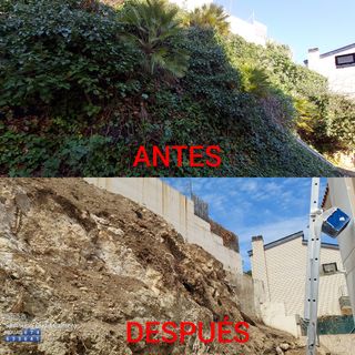 OFERTAS JARDINERO Y PINTOR MUY ECONÓMICO 
