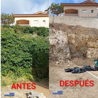 OFERTAS JARDINERO Y PINTOR MUY ECONÓMICO 