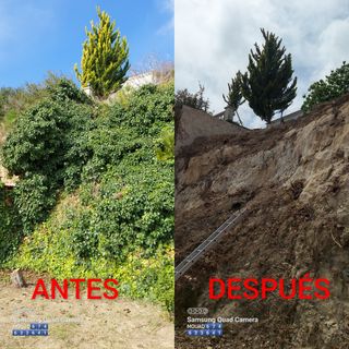 OFERTAS JARDINERO Y PINTOR MUY ECONÓMICO 