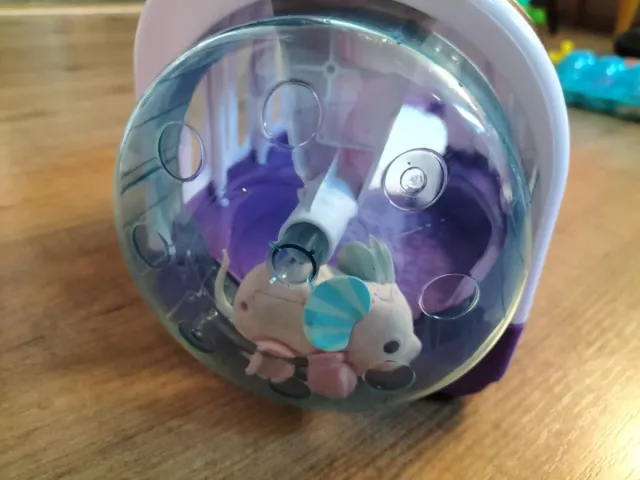 Hàmster litle pets live