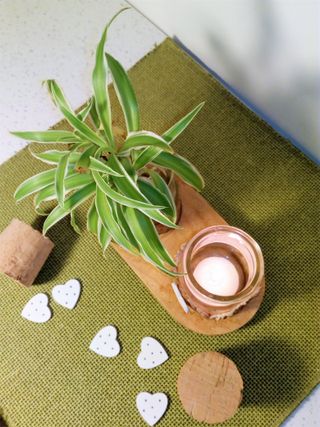Coppia di vasetti per candele o piante
