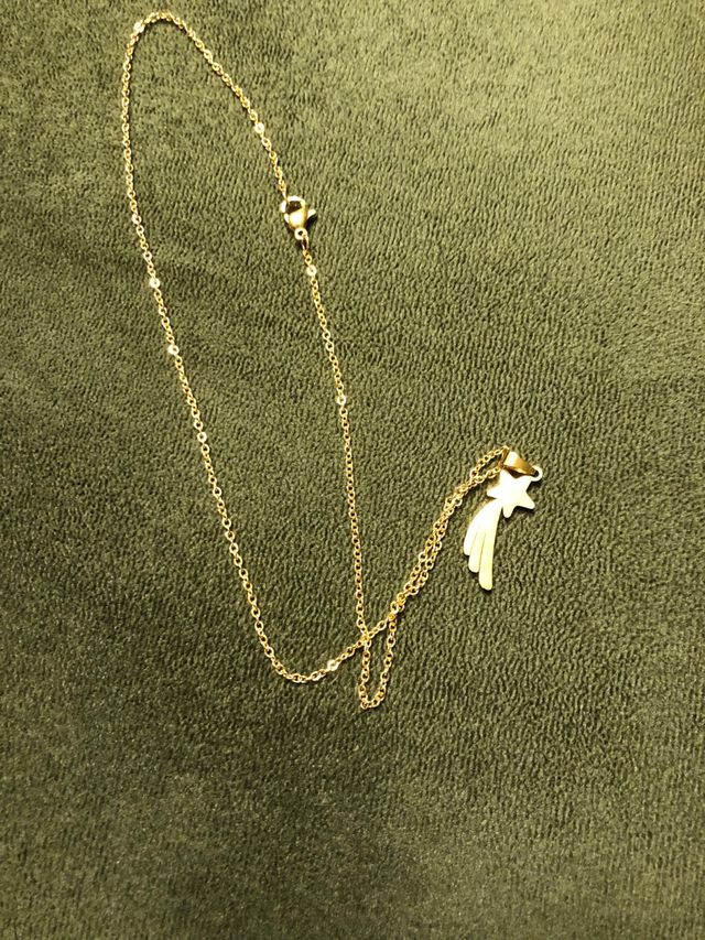 Cadena con estrella, chapado en oro