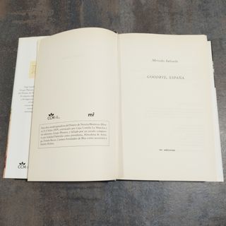 Goodbye, España. Mercedes Salisachis