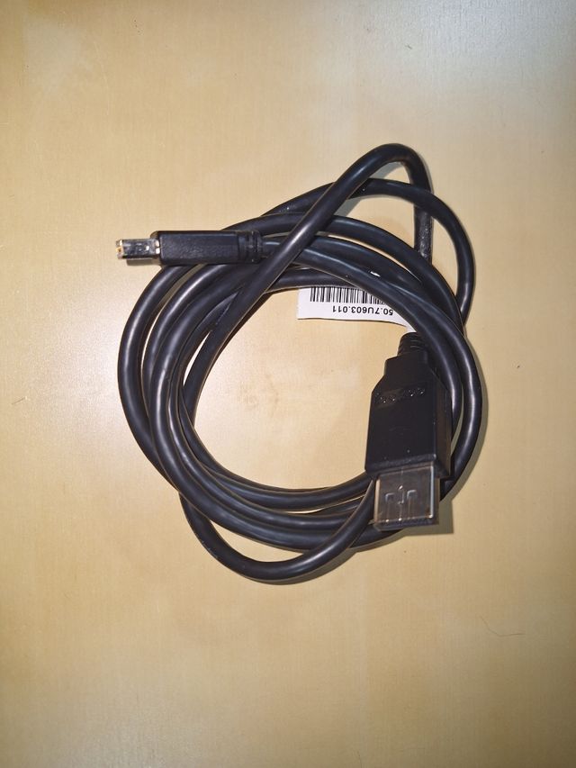 DisplayPort to Mini DisplayPort Cable