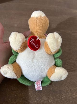 tartaruga trudi