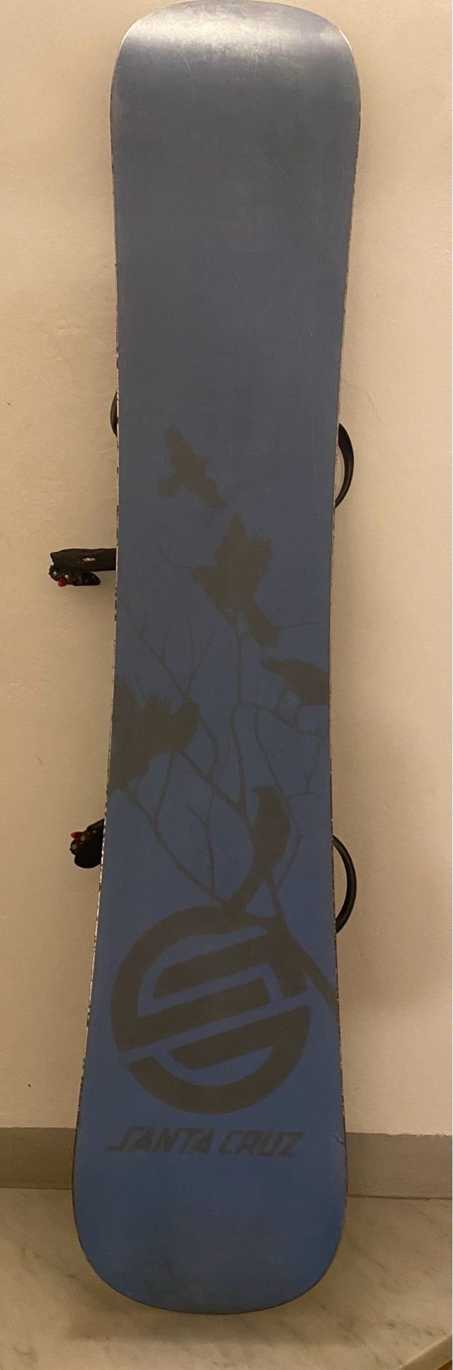 Snowboard freestyle Santa Cruz