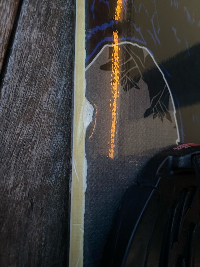 Snowboard freestyle Santa Cruz