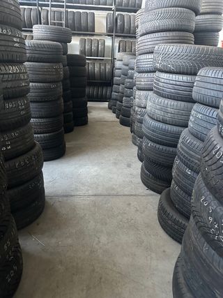 neumaticos