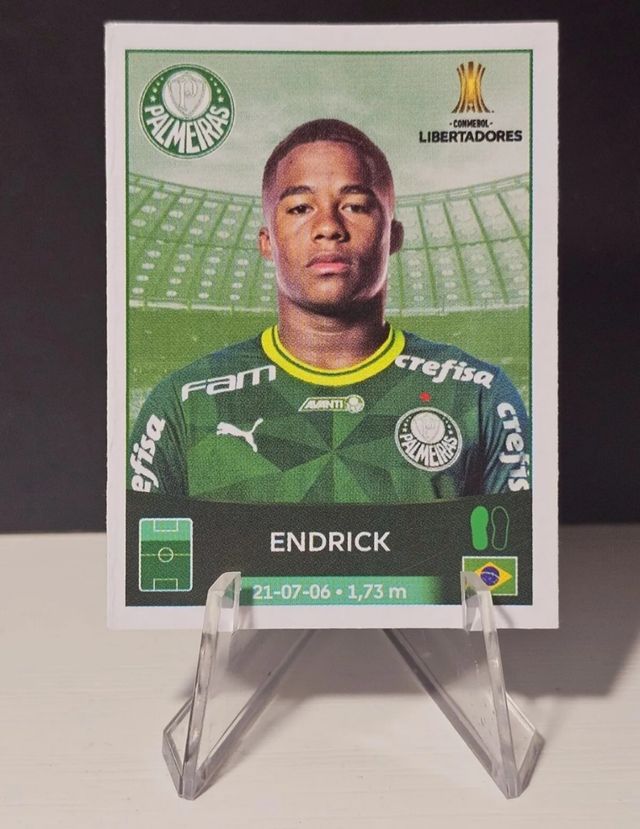 Endrick Rookie Copa Commebol Libertadores Panini #