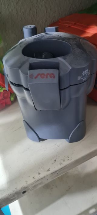 Acuario terrario 